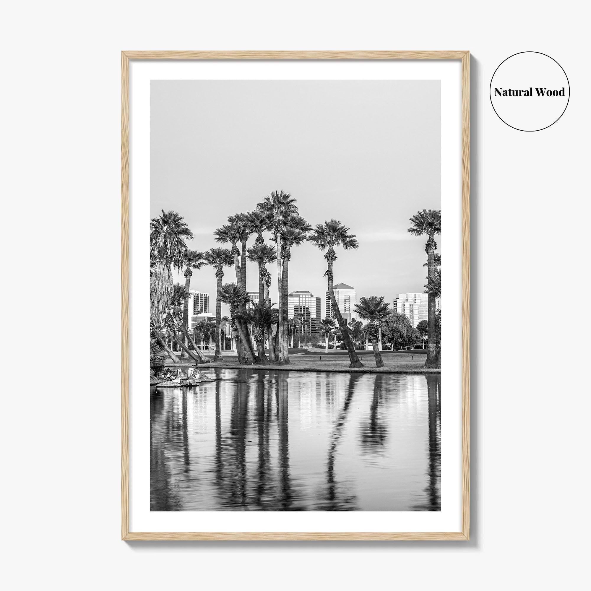Phoenix Skyline Black and White Fine Art Photo Print, Encanto Park Arizona Poster
