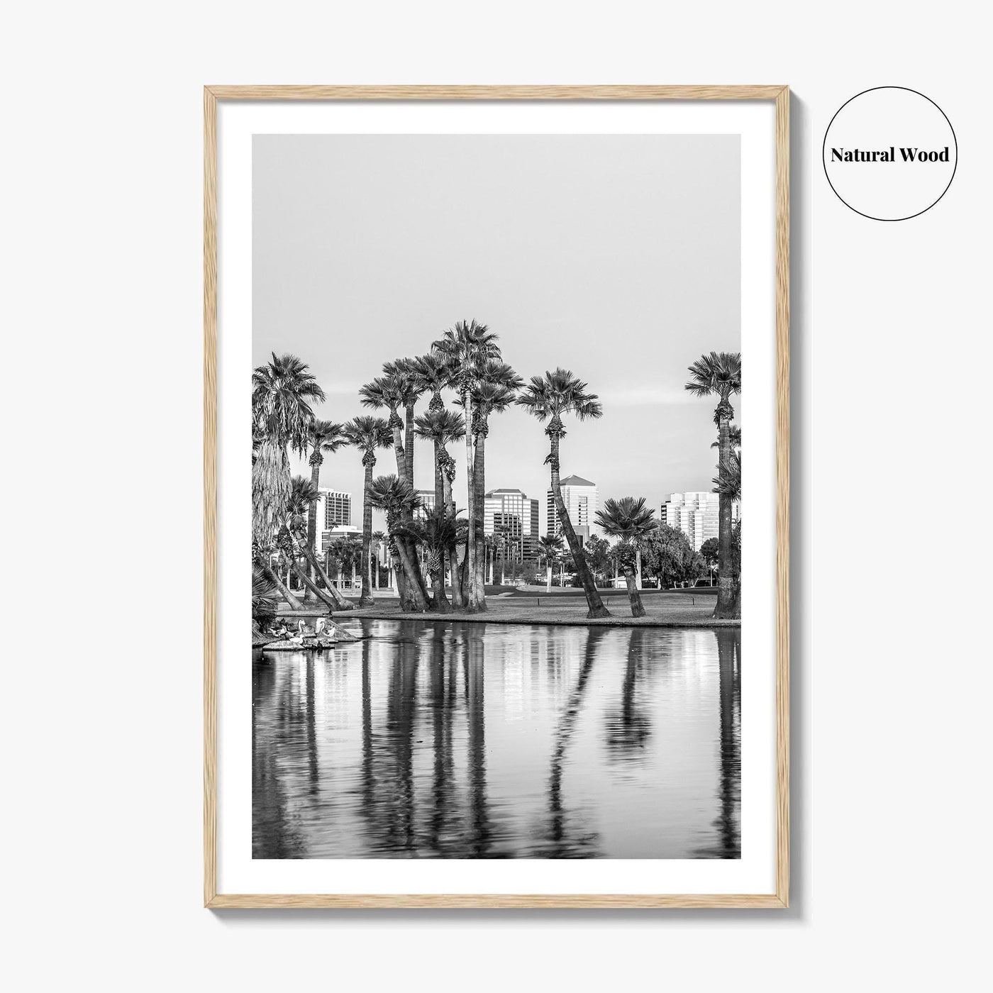 Phoenix Skyline Black and White Fine Art Photo Print, Encanto Park Arizona Poster