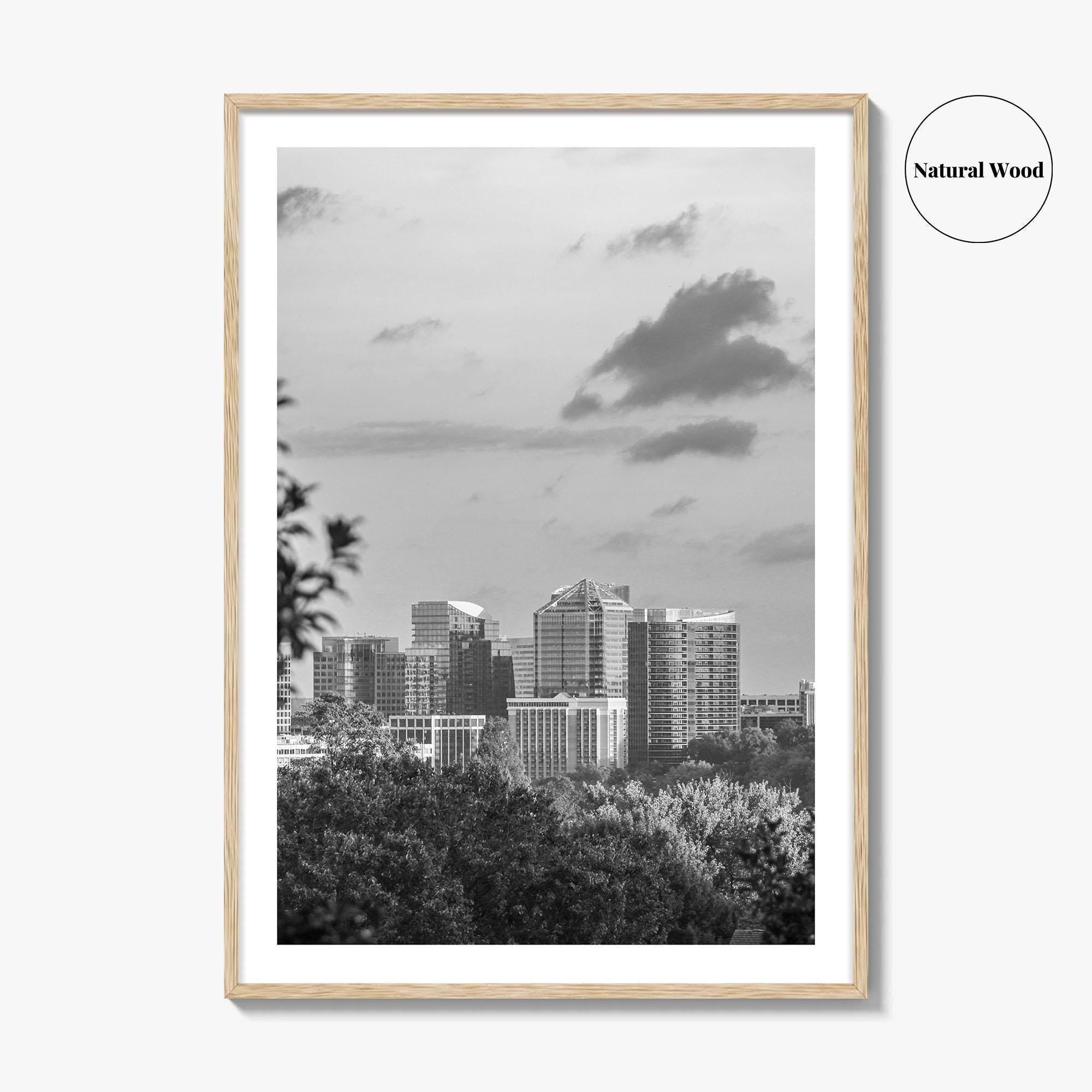Northern Virginia Black and White Fine Art Photo Print, Washington DC, USA Wall Poster