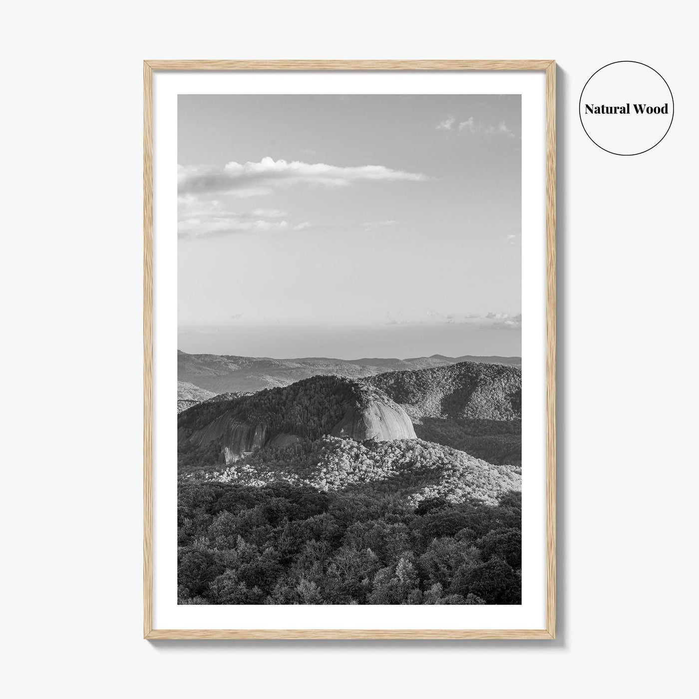 Pisgah National Forest Black and White Fine Art Photo Print, Looking Glass Rock, NC
