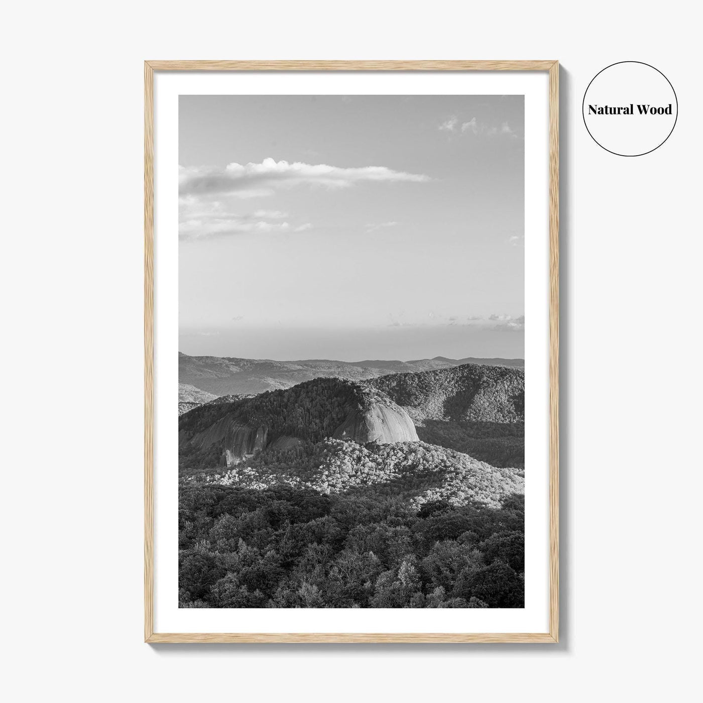 Pisgah National Forest Black and White Fine Art Photo Print, Looking Glass Rock, NC