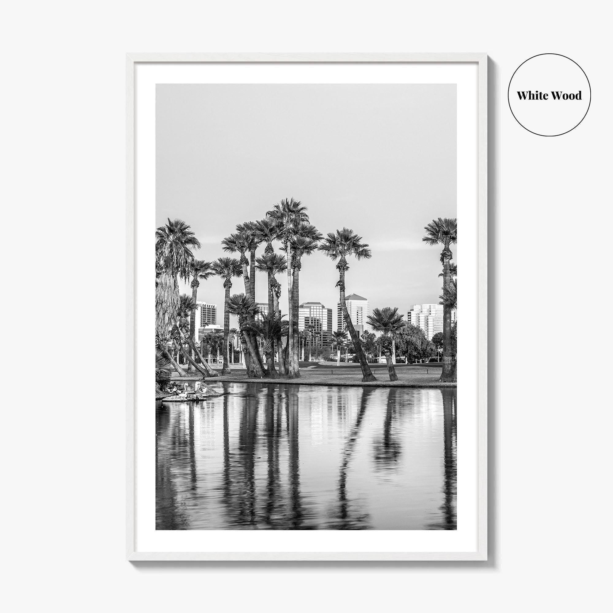Phoenix Skyline Black and White Fine Art Photo Print, Encanto Park Arizona Poster