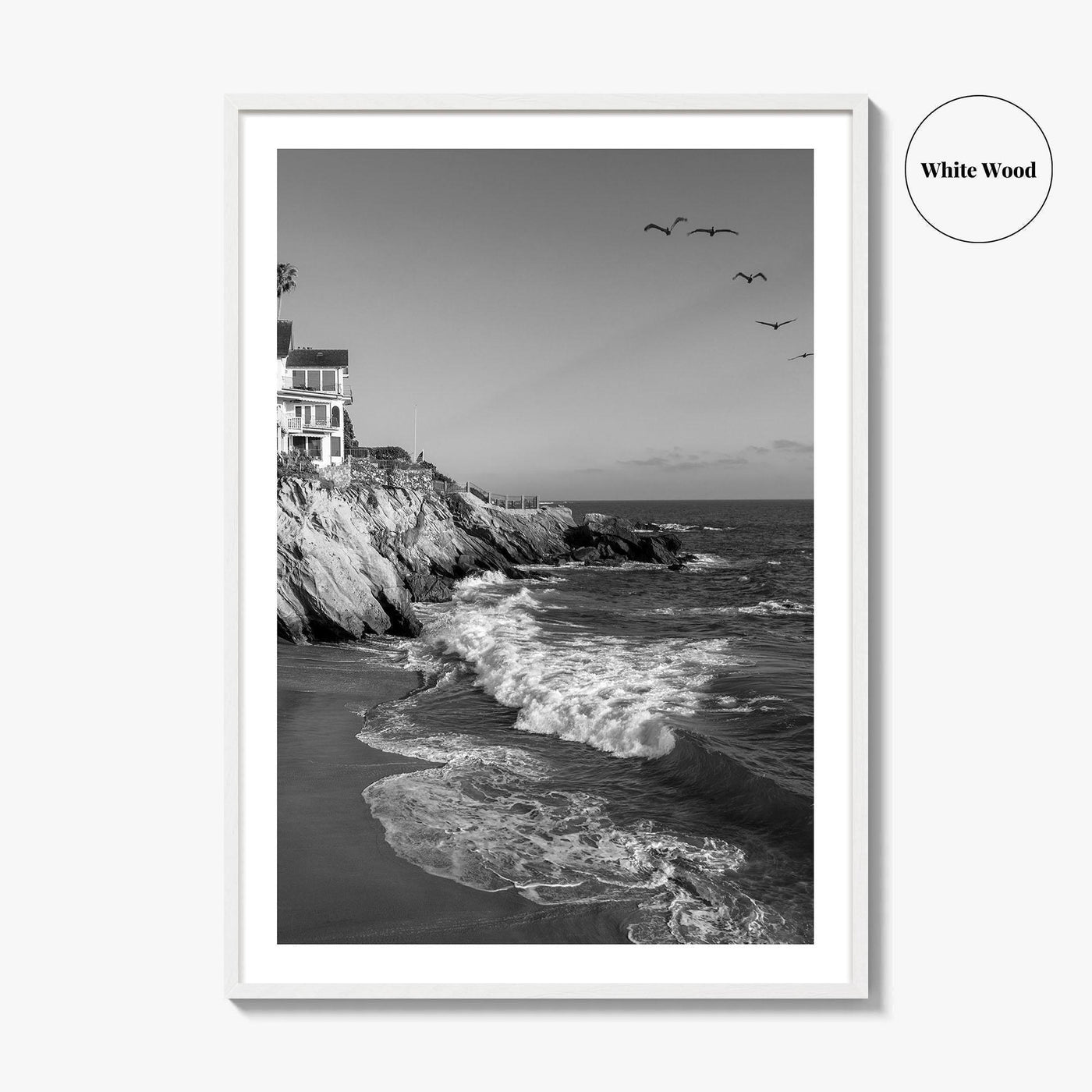 Southern California Black and White Fine Art Photo Print, Coastline Poster