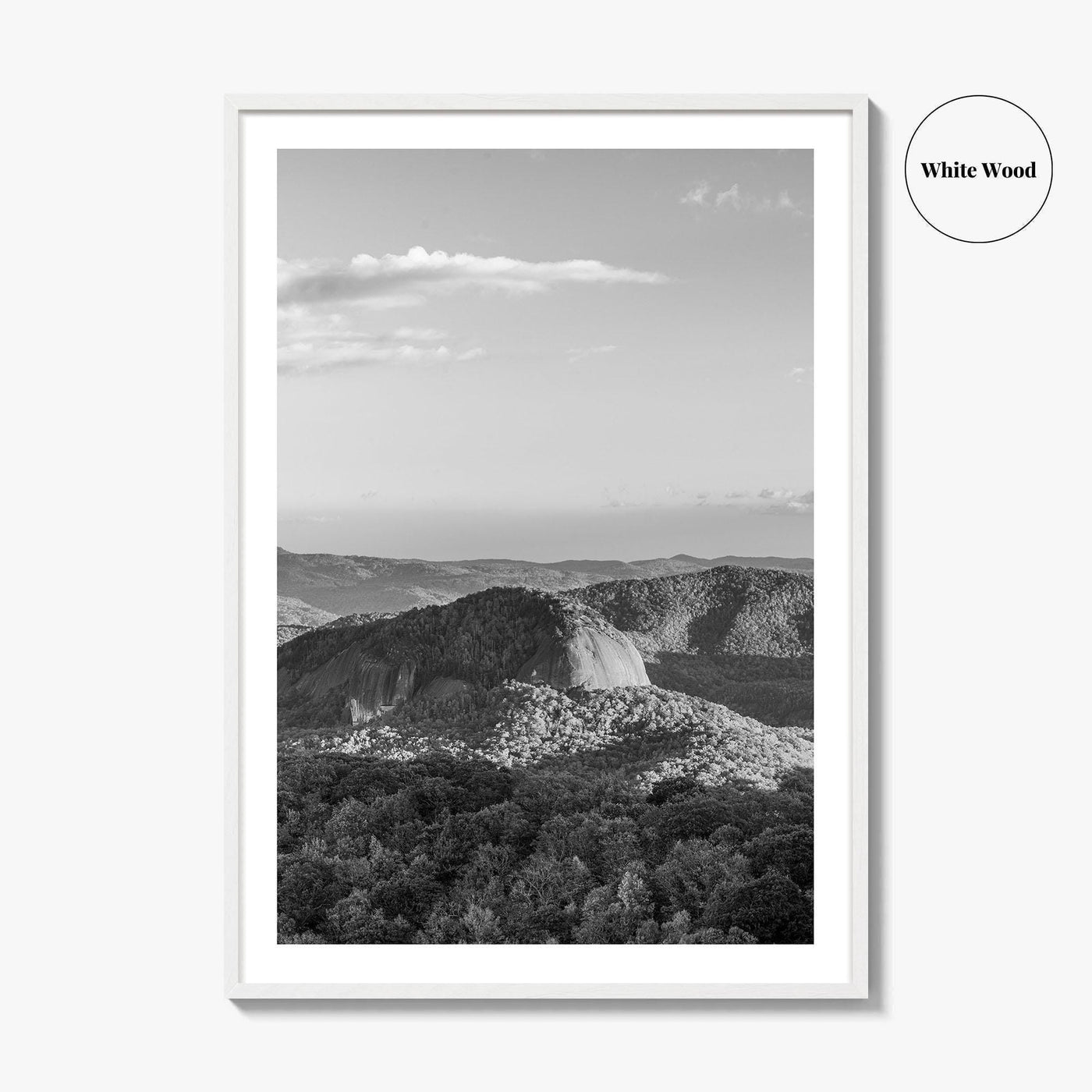 Pisgah National Forest Black and White Fine Art Photo Print, Looking Glass Rock, NC