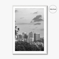 Northern Virginia Black and White Fine Art Photo Print, Washington DC, USA Wall Poster
