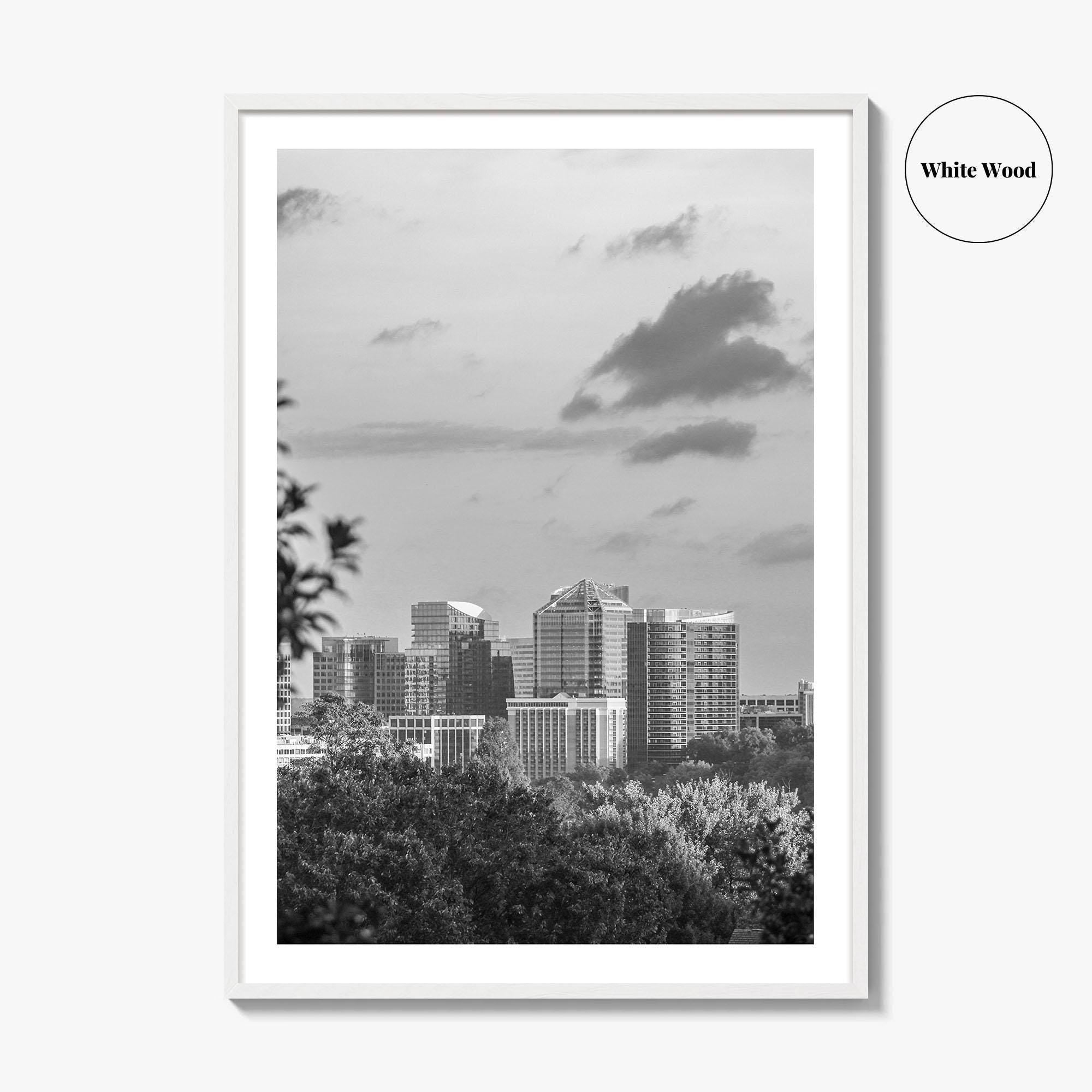 Northern Virginia Black and White Fine Art Photo Print, Washington DC, USA Wall Poster