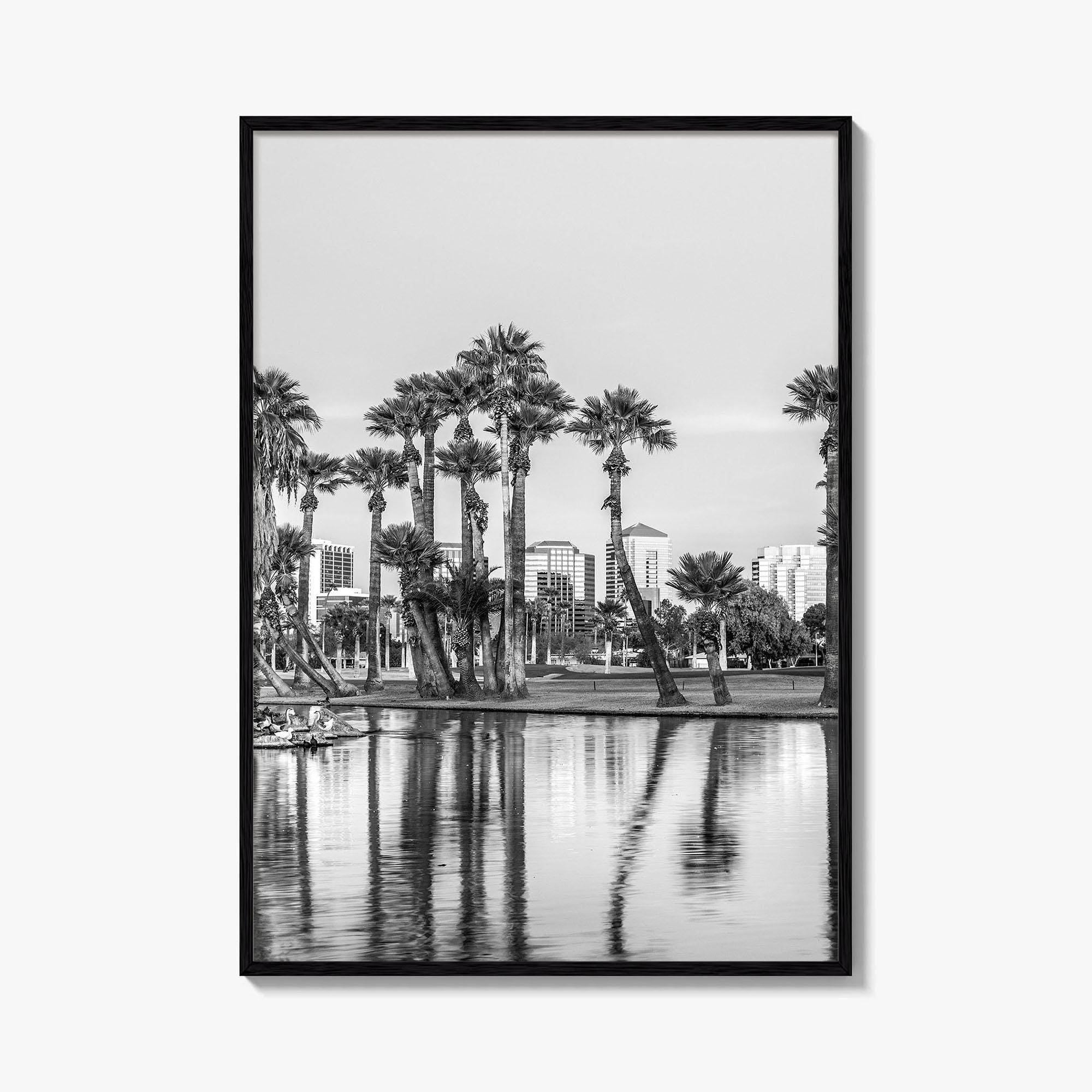 Phoenix Skyline Black and White Fine Art Photo Print, Encanto Park Arizona Poster