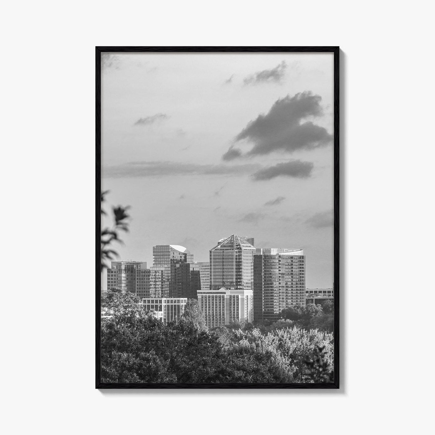 Northern Virginia Black and White Fine Art Photo Print, Washington DC, USA Wall Poster
