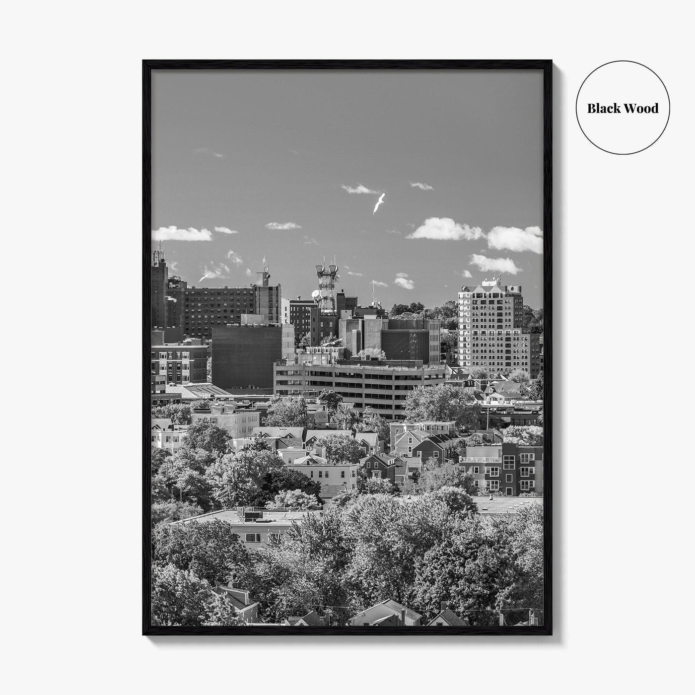Portland Maine Skyline Black and White Fine Art Photo Print, Downtown, USA Poster