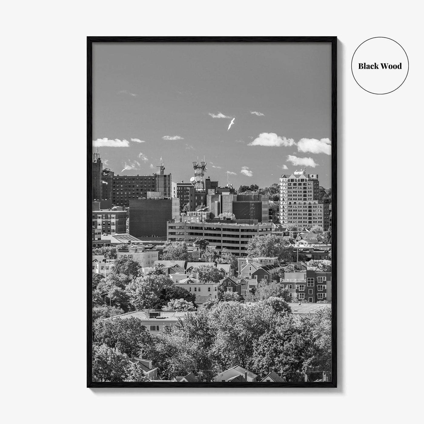 Portland Maine Skyline Black and White Fine Art Photo Print, Downtown, USA Poster
