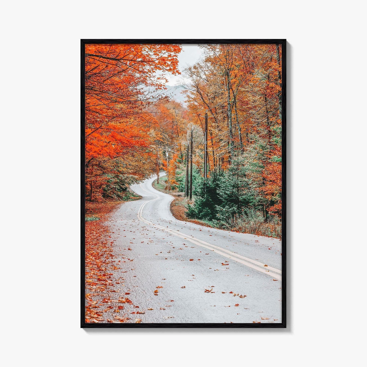 Adirondack Mountains Fall Fine Art Photo Print, Old Forge NY, Hollywood Road, Wall Poster