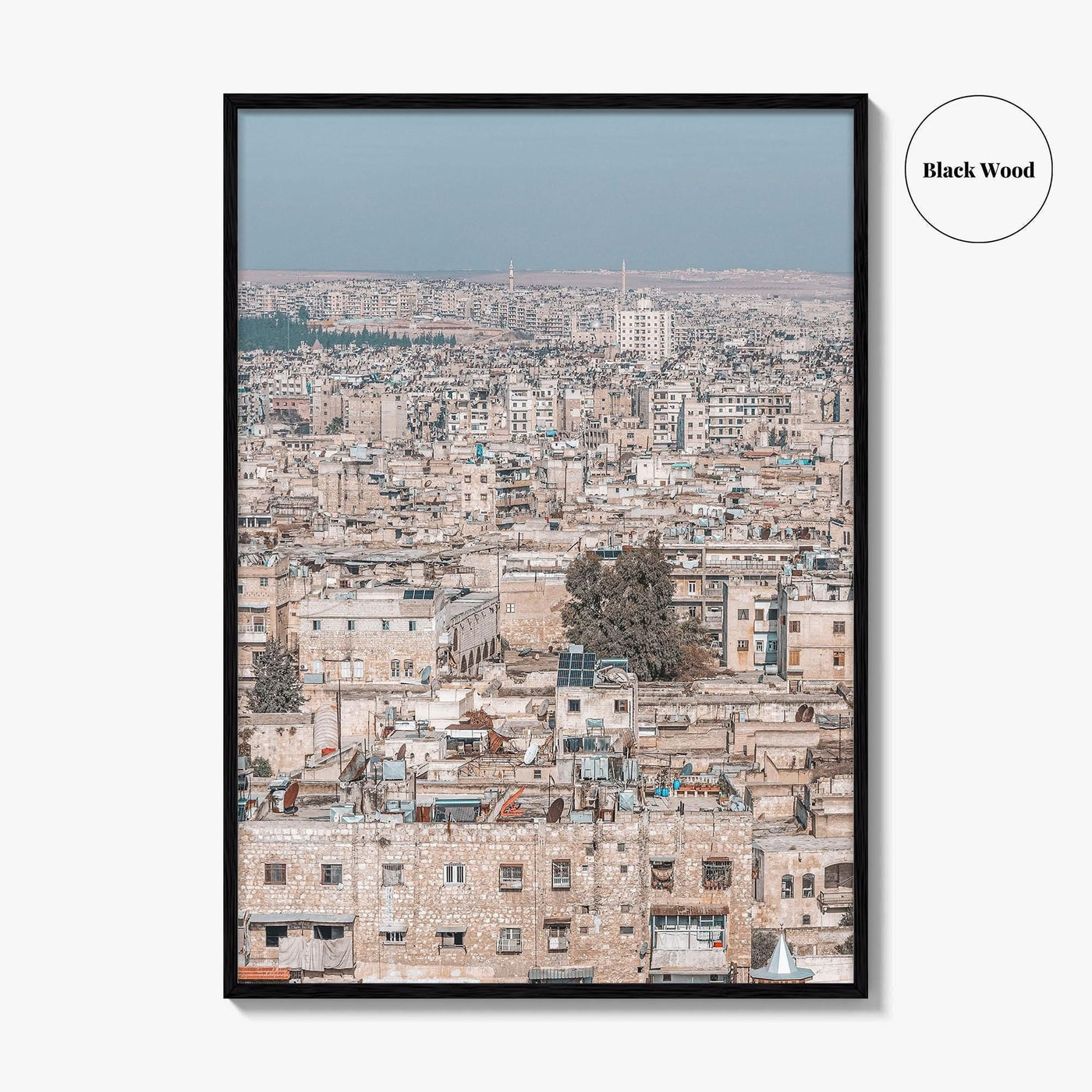 Aleppo Fine Art Photo Print, Citadel View, City View, Syria, Wall Decor, Poster