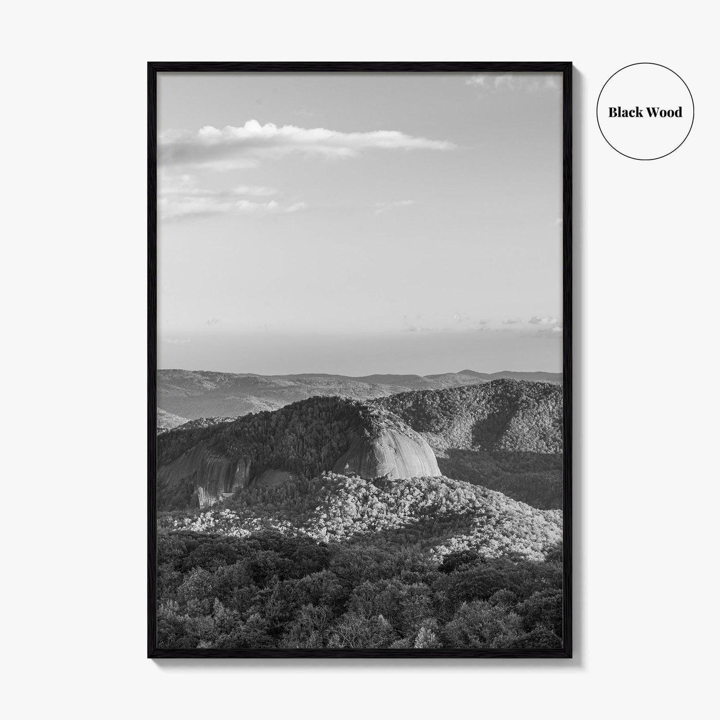 Pisgah National Forest Black and White Fine Art Photo Print, Looking Glass Rock, NC