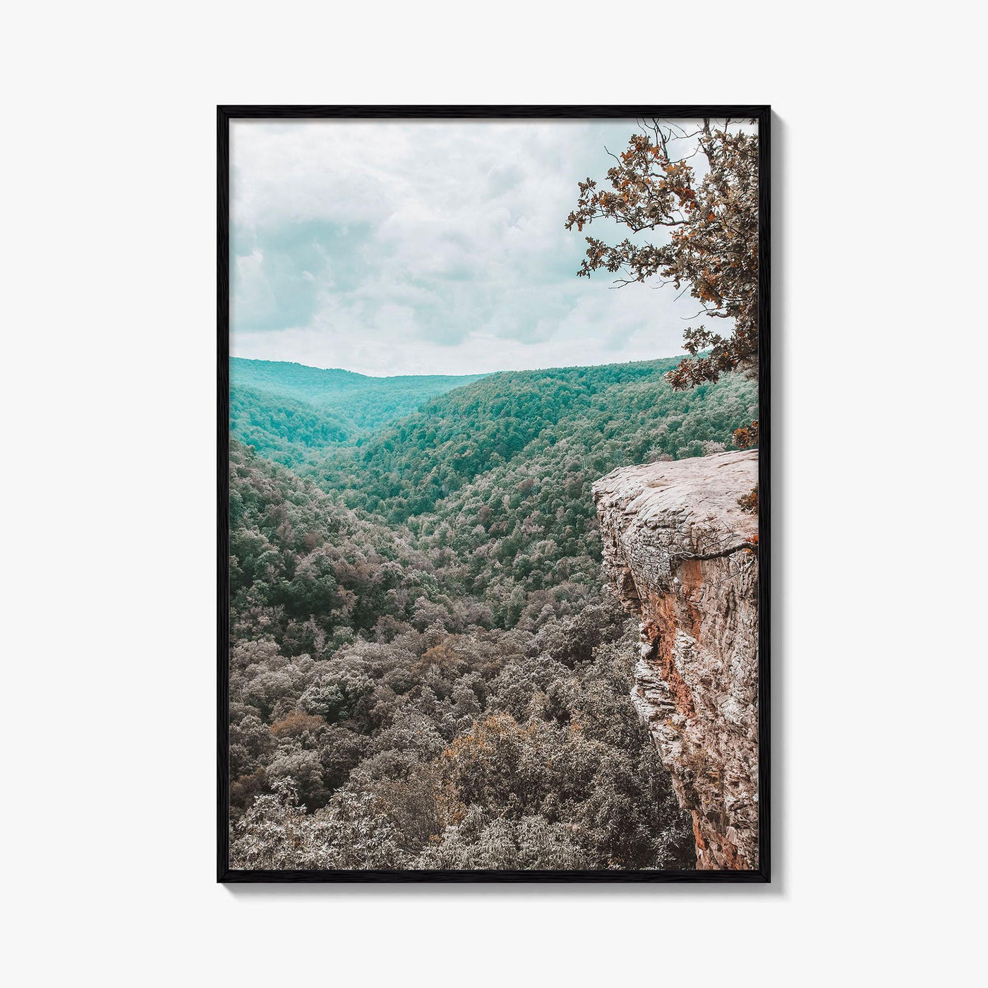 Hawksbill Crag Fine Art Photo Print, Whitaker Point, Fayetteville, Arkansas Wall Poster