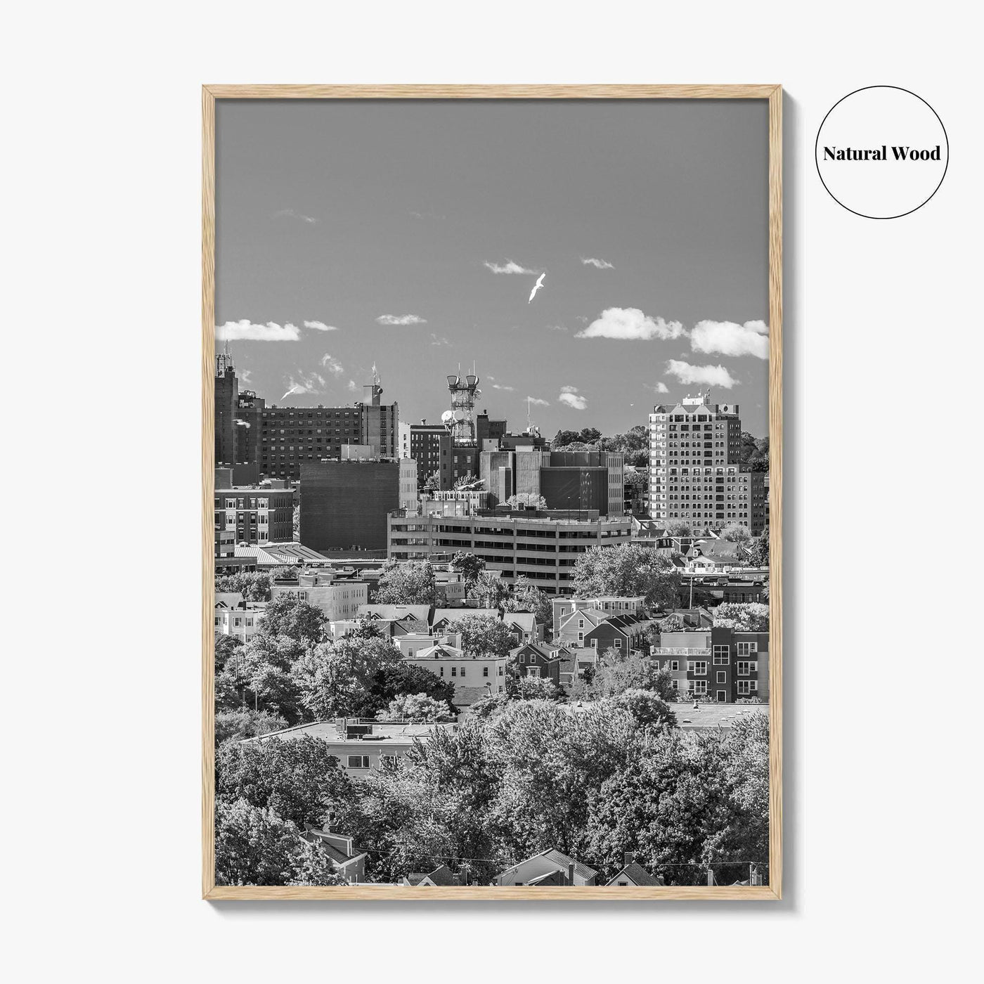 Portland Maine Skyline Black and White Fine Art Photo Print, Downtown, USA Poster