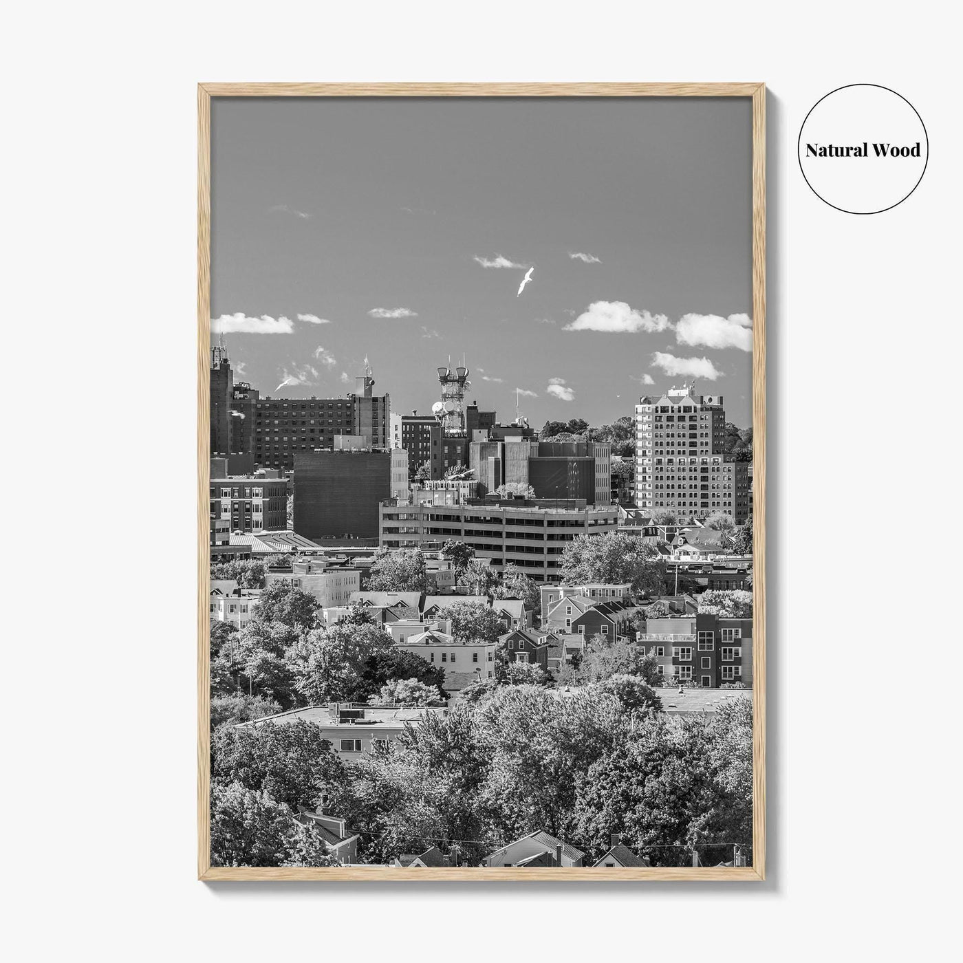 Portland Maine Skyline Black and White Fine Art Photo Print, Downtown, USA Poster
