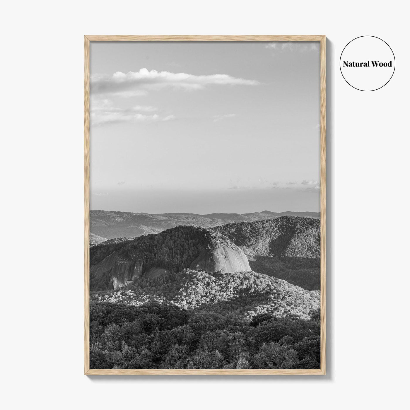 Pisgah National Forest Black and White Fine Art Photo Print, Looking Glass Rock, NC