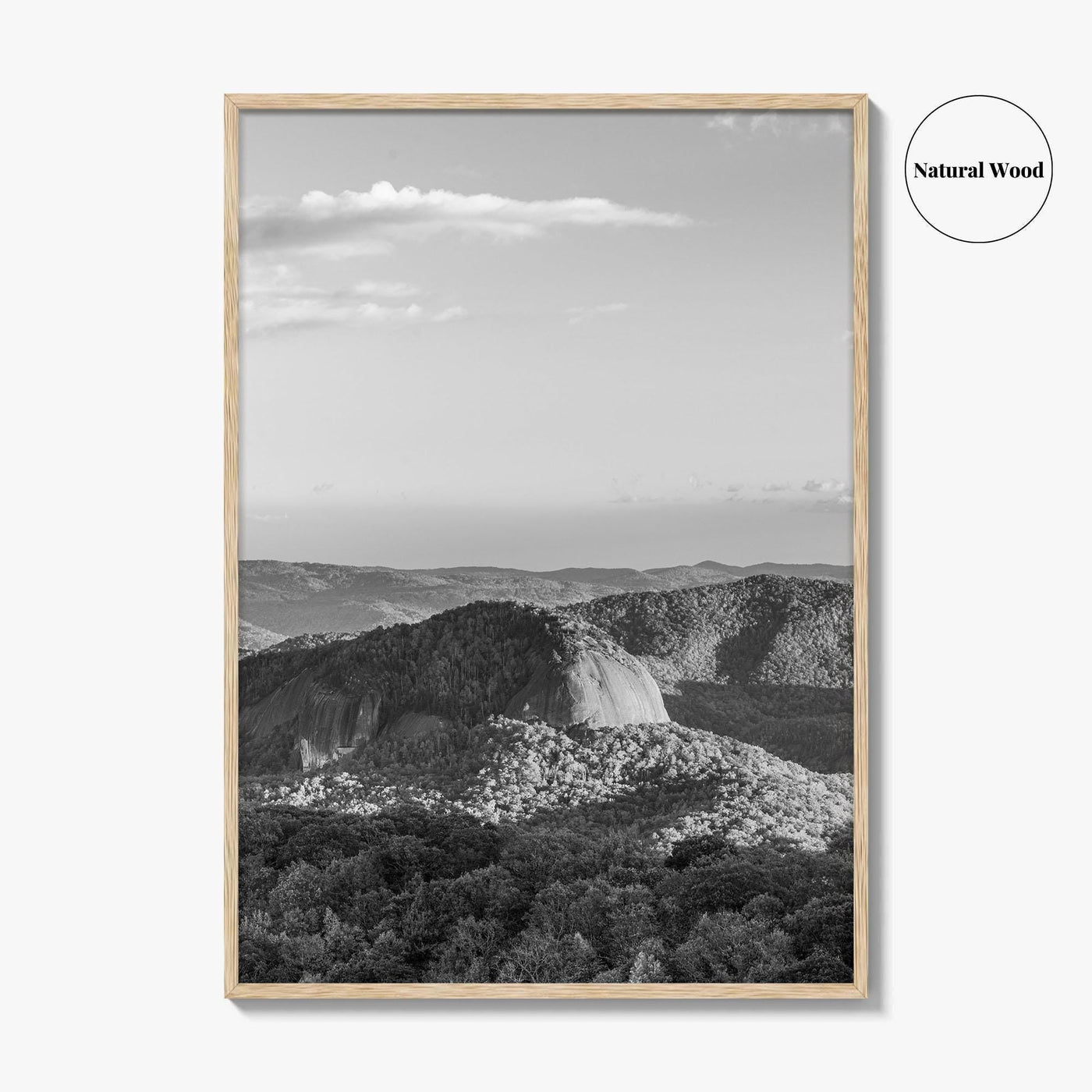 Pisgah National Forest Black and White Fine Art Photo Print, Looking Glass Rock, NC