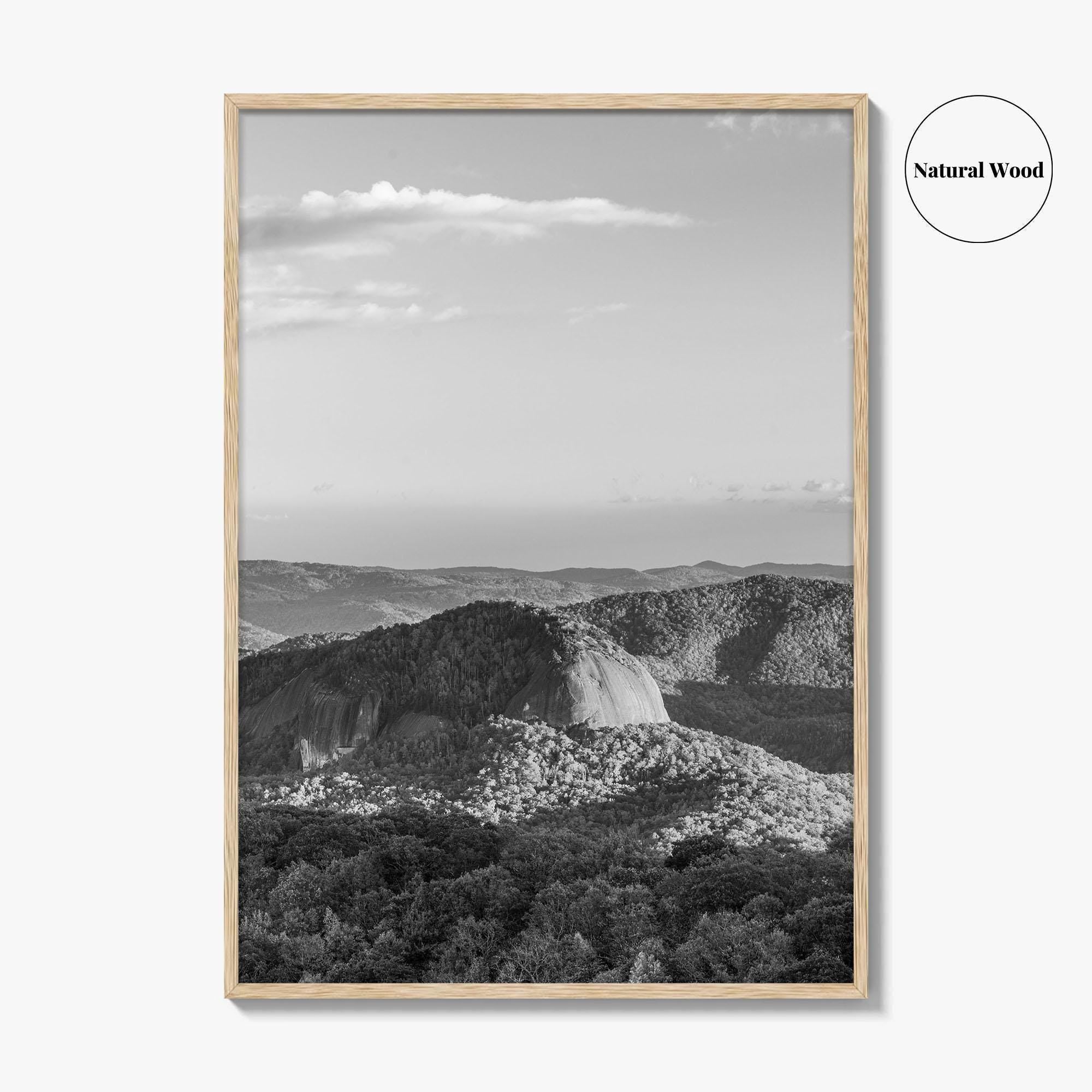 Pisgah National Forest Black and White Fine Art Photo Print, Looking Glass Rock, NC