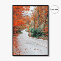 Adirondack Mountains Fall Fine Art Photo Print, Old Forge NY, Hollywood Road, Wall Poster