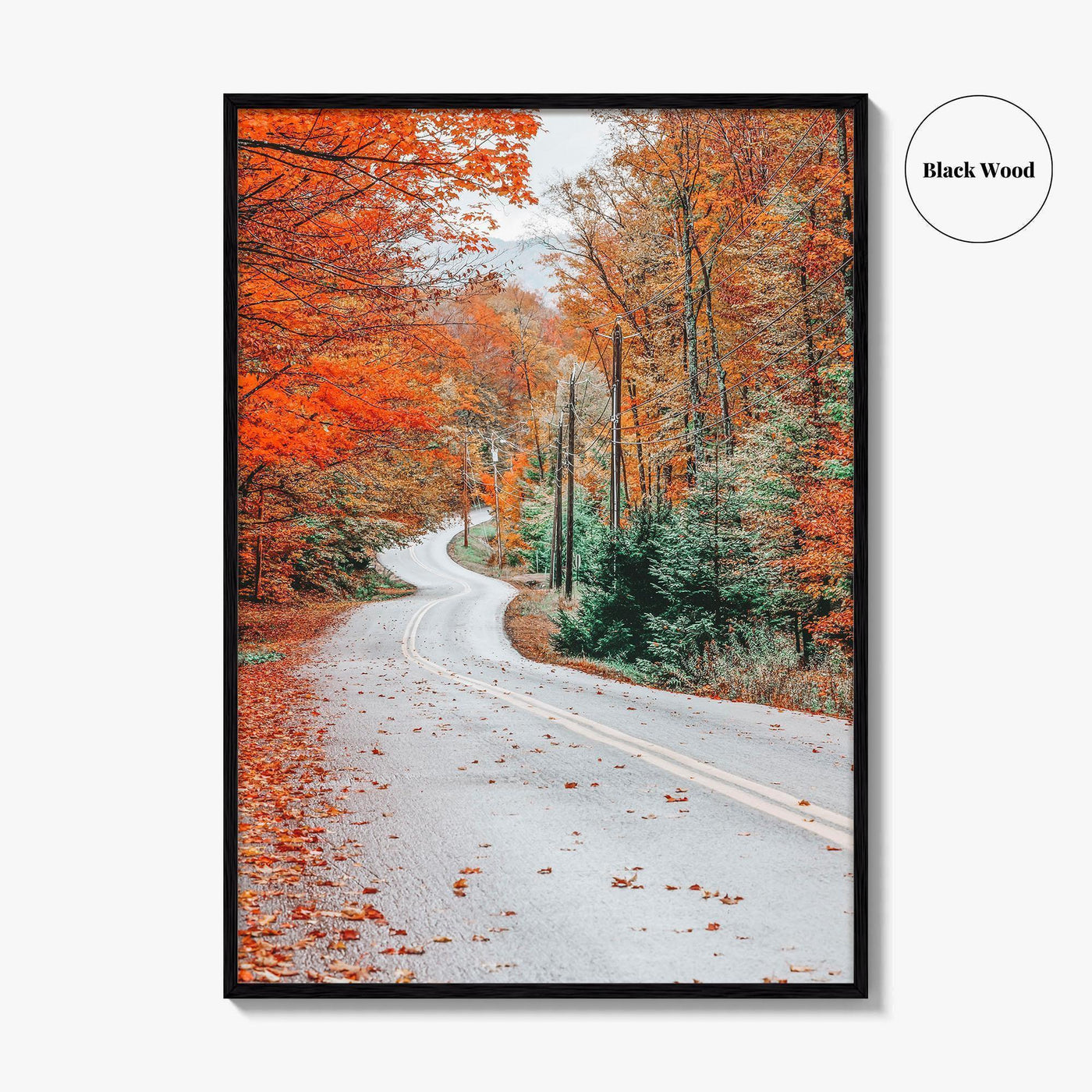 Adirondack Mountains Fall Fine Art Photo Print, Old Forge NY, Hollywood Road, Wall Poster