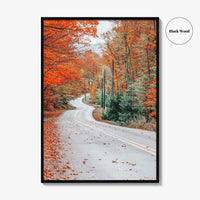 Adirondack Mountains Fall Fine Art Photo Print, Old Forge NY, Hollywood Road, Wall Poster