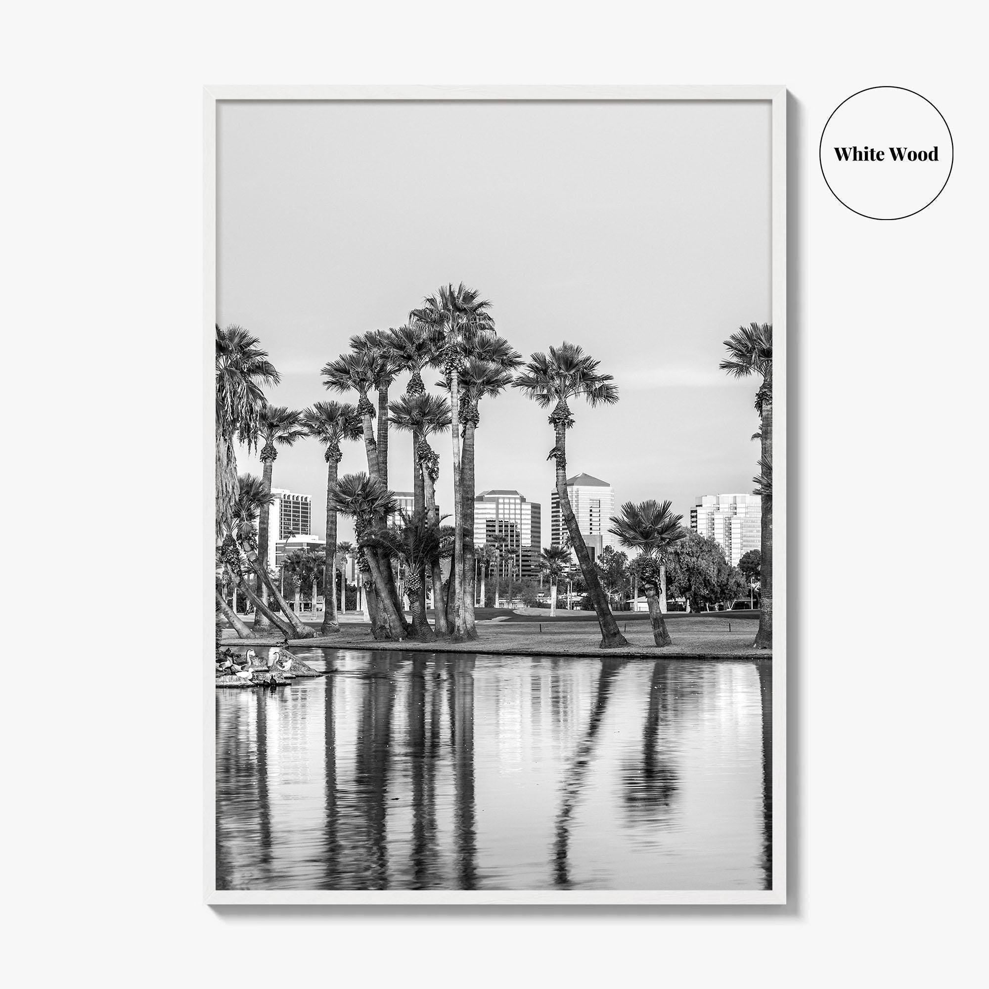 Phoenix Skyline Black and White Fine Art Photo Print, Encanto Park Arizona Poster