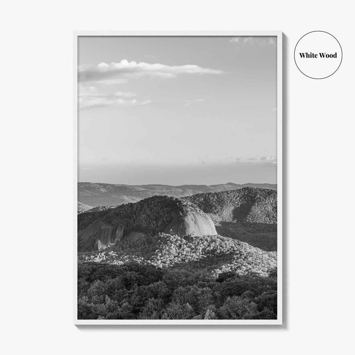Pisgah National Forest Black and White Fine Art Photo Print, Looking Glass Rock, NC