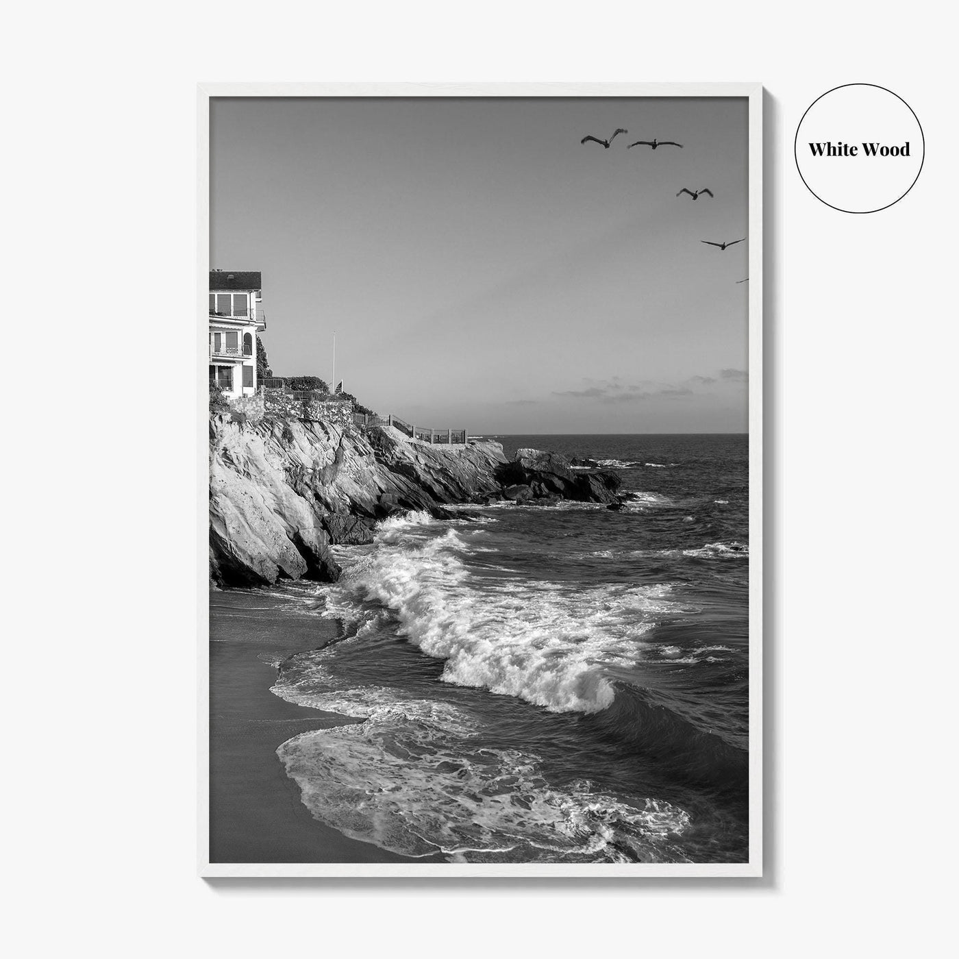 Southern California Black and White Fine Art Photo Print, Coastline Poster