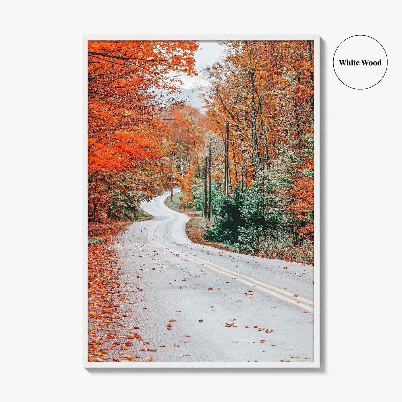 Adirondack Mountains Fall Fine Art Photo Print, Old Forge NY, Hollywood Road, Wall Poster