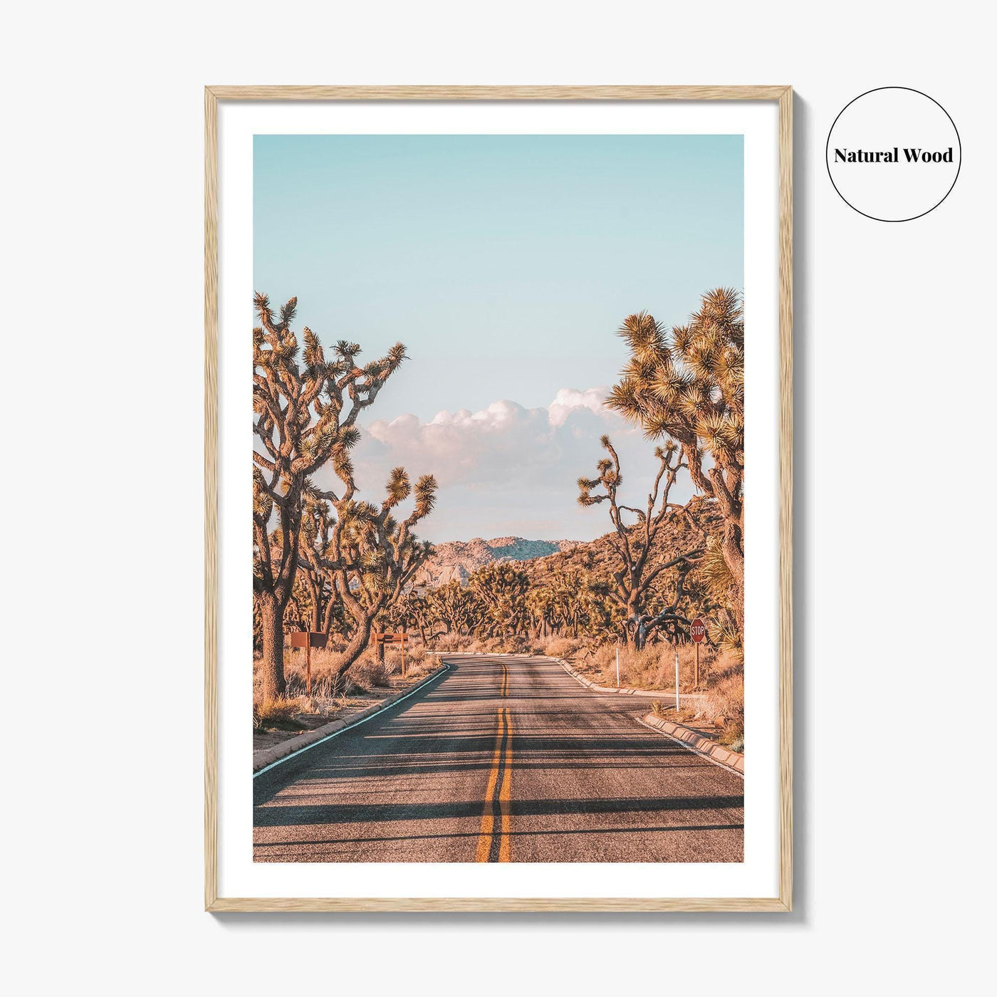 Joshua Tree National Park Fine Art Photo Print, California Desert Wall Art Poster