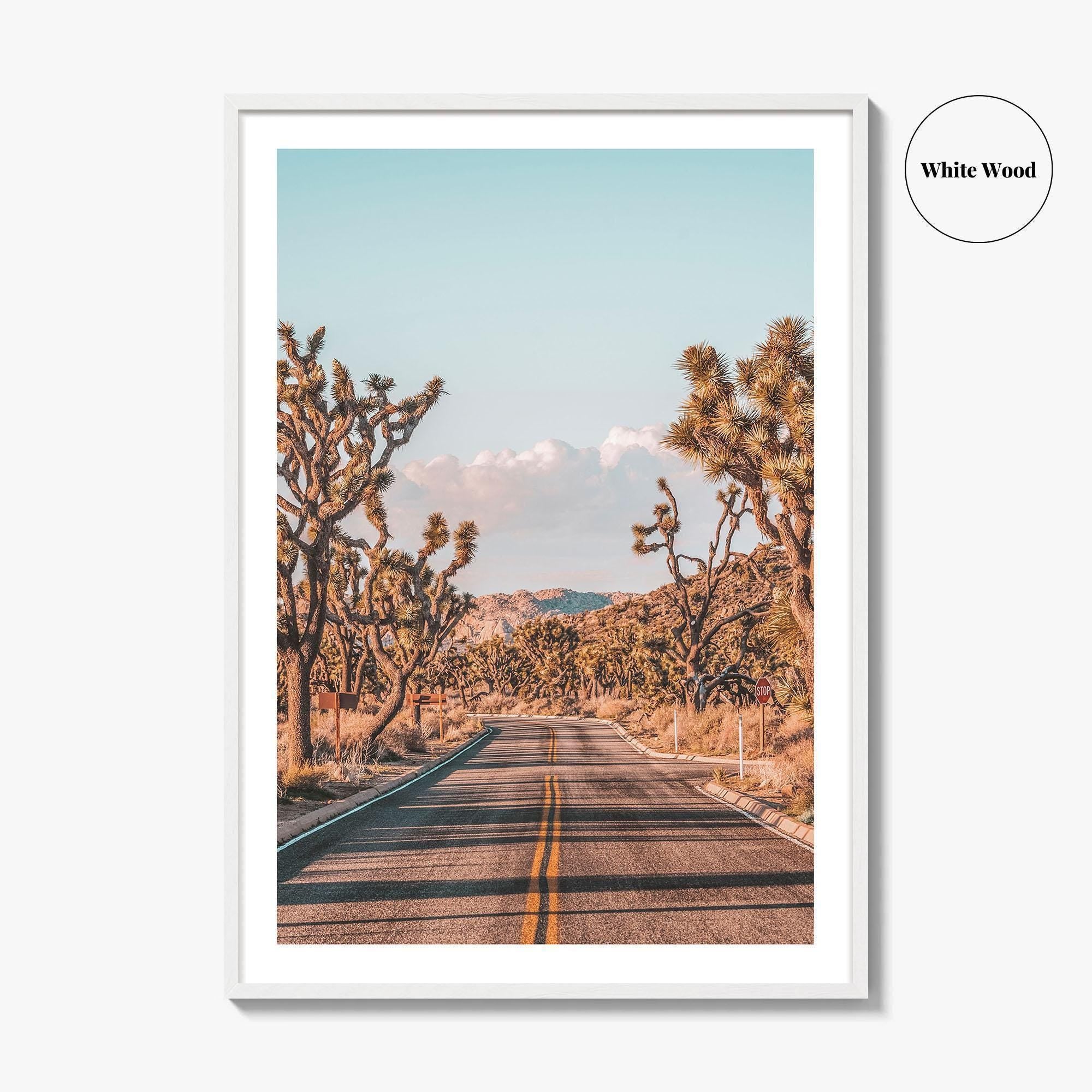 Joshua Tree National Park Fine Art Photo Print, California Desert Wall Art Poster