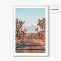 Joshua Tree National Park Fine Art Photo Print, California Desert Wall Art Poster