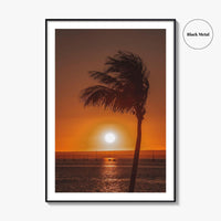 La Paz Fine Art Photo Print, Baja California Sur Poster