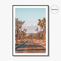 Joshua Tree National Park Fine Art Photo Print, California Desert Wall Art Poster
