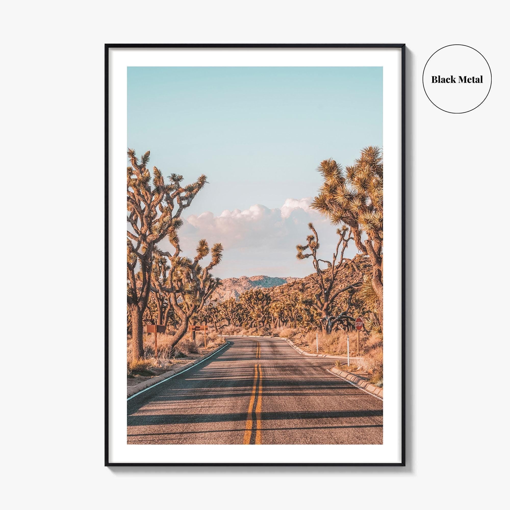 Joshua Tree National Park Fine Art Photo Print, California Desert Wall Art Poster