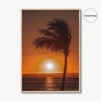 La Paz Fine Art Photo Print, Baja California Sur Poster