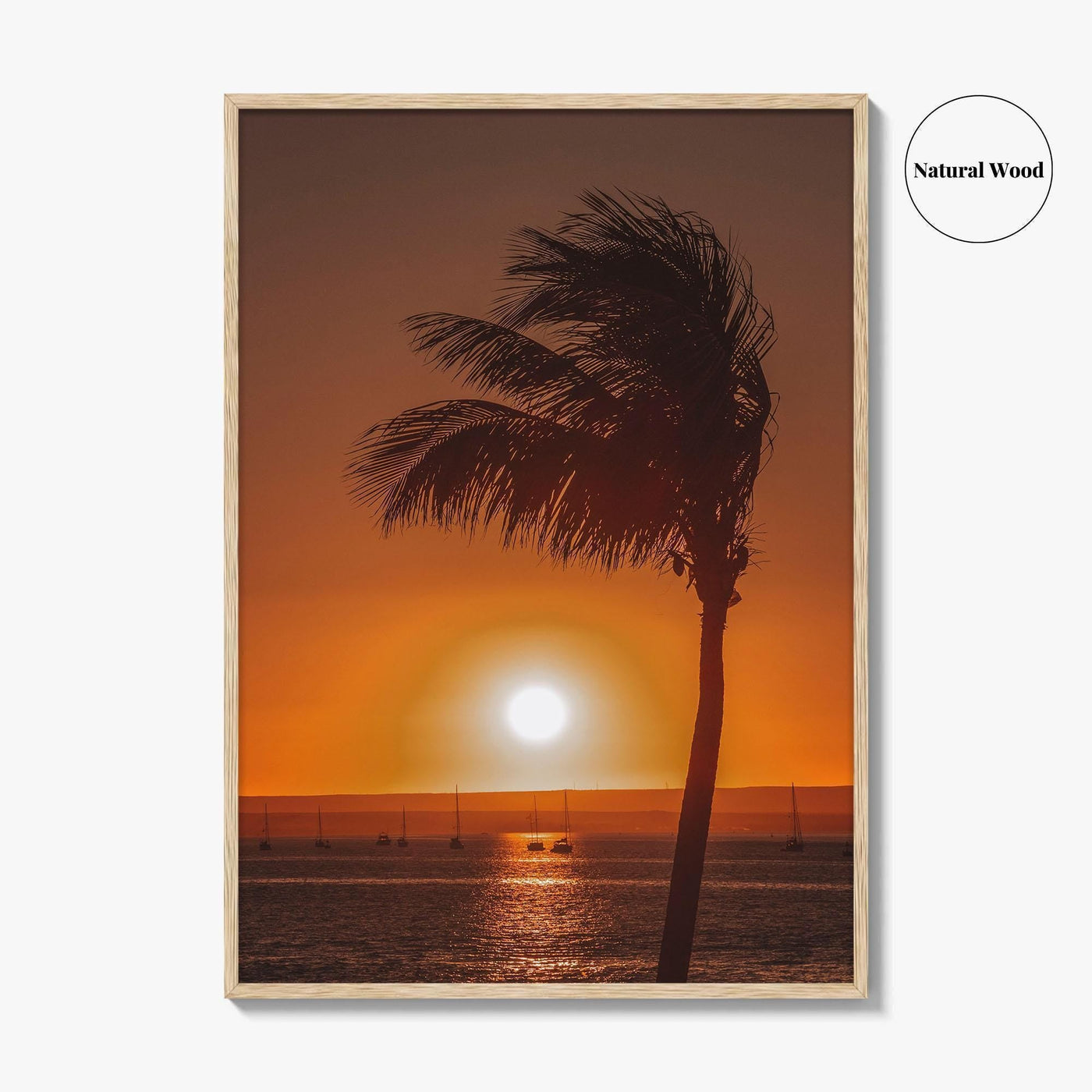 La Paz Fine Art Photo Print, Baja California Sur Poster
