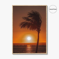 La Paz Fine Art Photo Print, Baja California Sur Poster