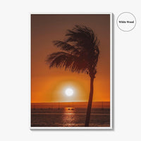La Paz Fine Art Photo Print, Baja California Sur Poster