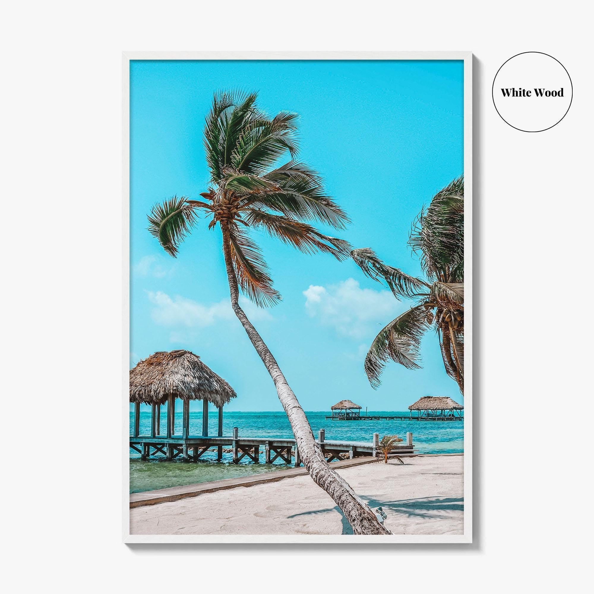 Belize Fine Art Photo Print, San Pedro, Ambergris Caye, Caribbean Beach Poster