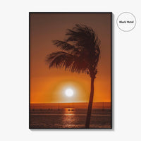 La Paz Fine Art Photo Print, Baja California Sur Poster