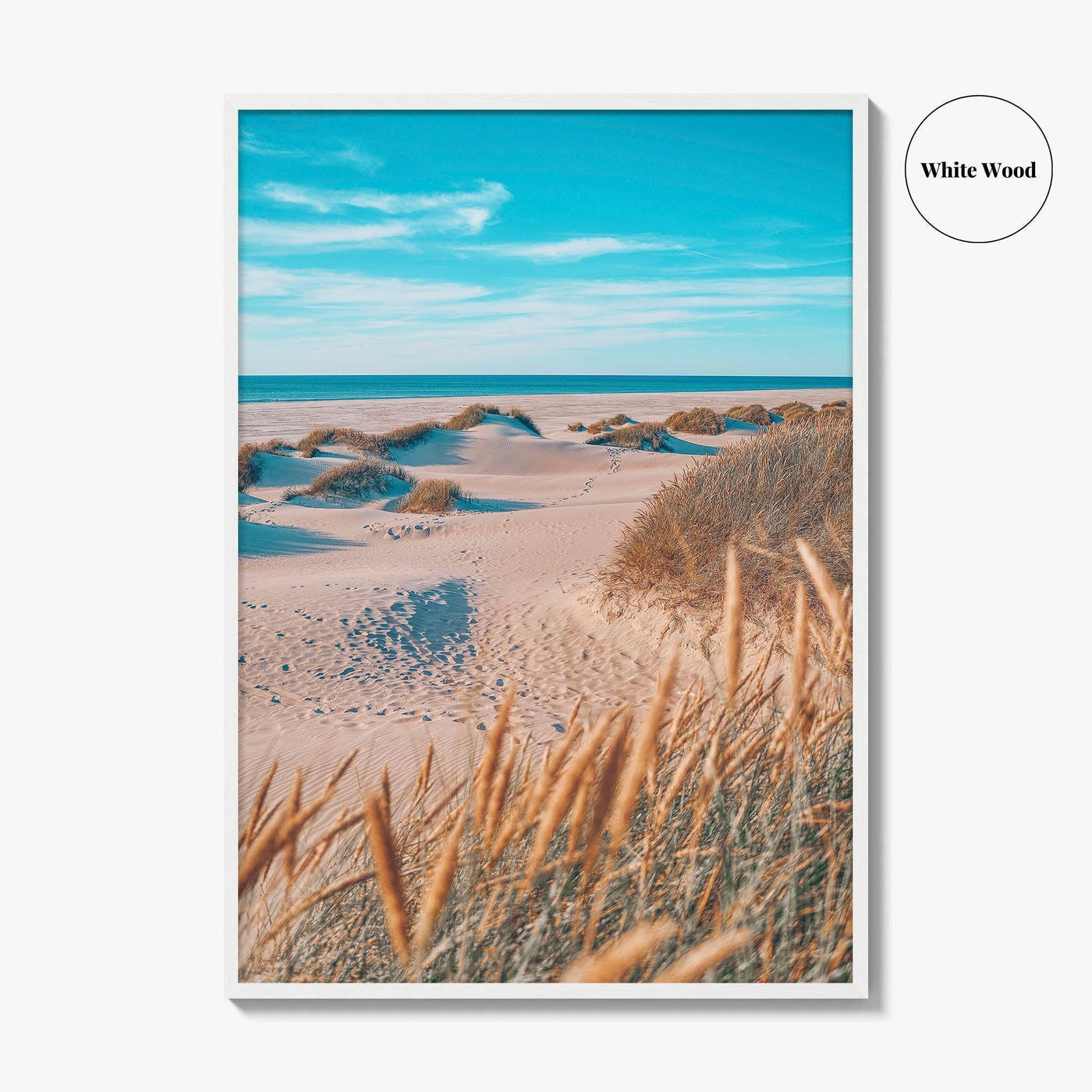 Denmark Fine Art Photo Print, North Sea Beach Grass Dunes, Danish Coast Poster