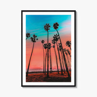Santa Barbara Fine Art Photo Print, California Wall Decor Poster, USA Palm Trees