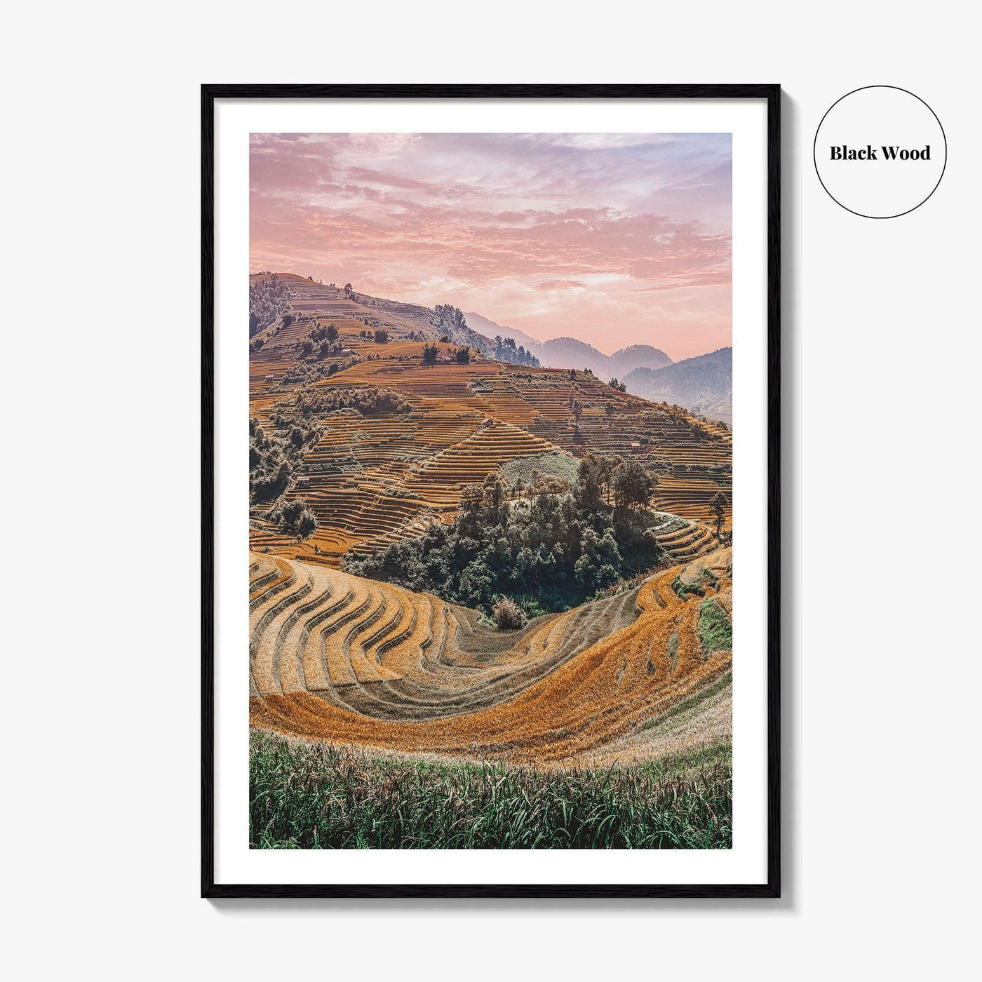 Mu Cang Chai Fine Art Photo Print, Yen Bai Vietnam Rice Terraces Wall Poster