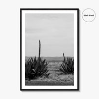 West Texas Black and White Fine Art Photo Print, Agave Chihuahuan Desert Poster