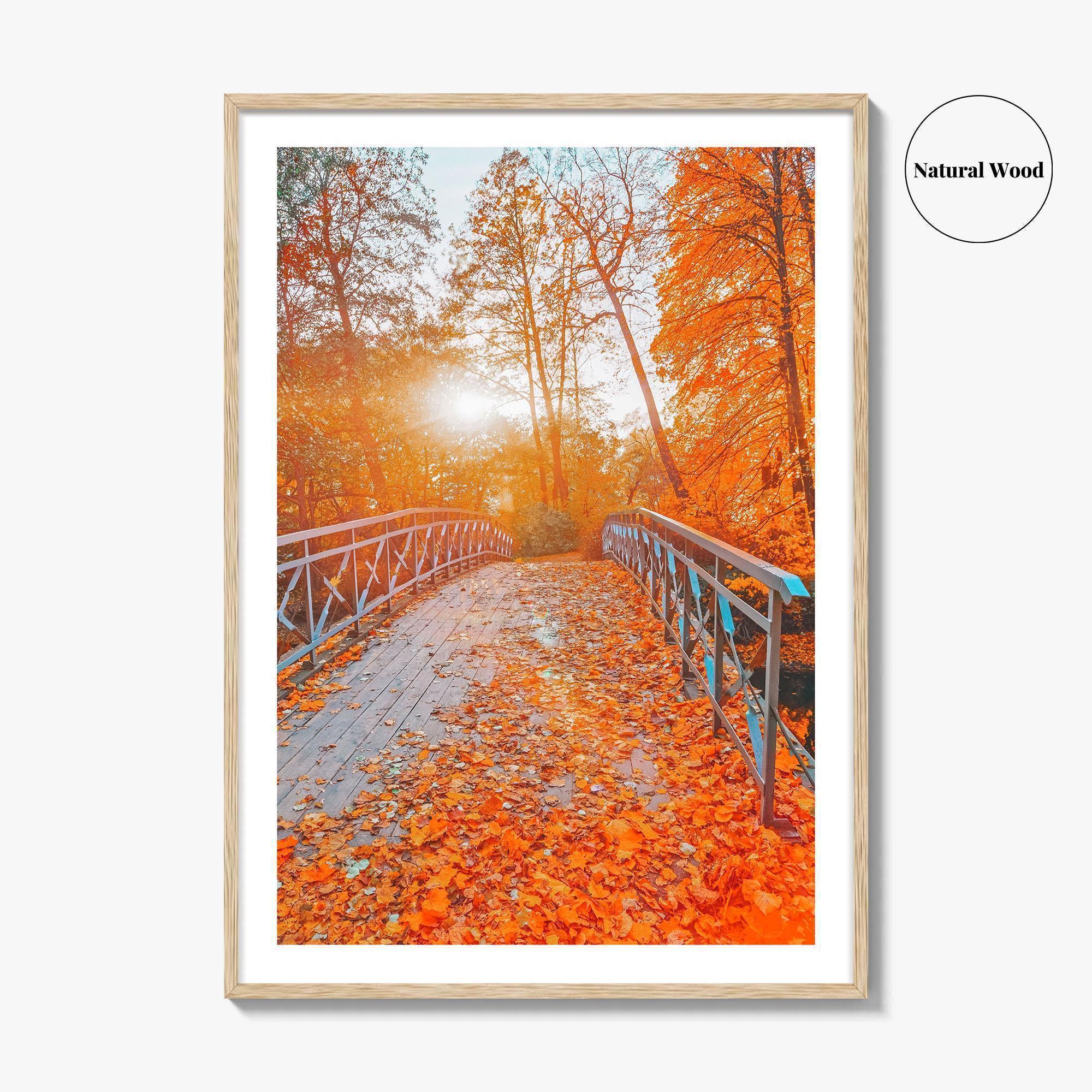 Central Park Fine Art Photo Print, New York, NYC, Bridge, Lake, Fall Foliage