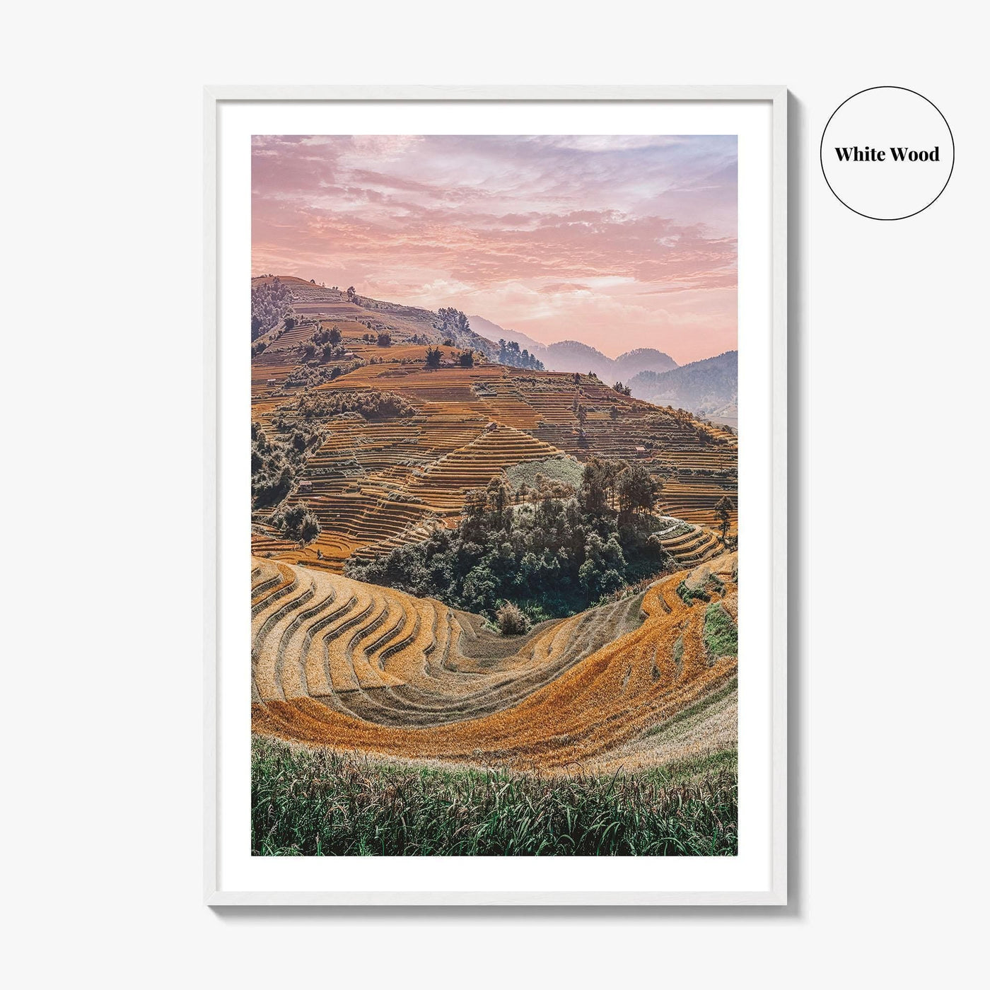 Mu Cang Chai Fine Art Photo Print, Yen Bai Vietnam Rice Terraces Wall Poster