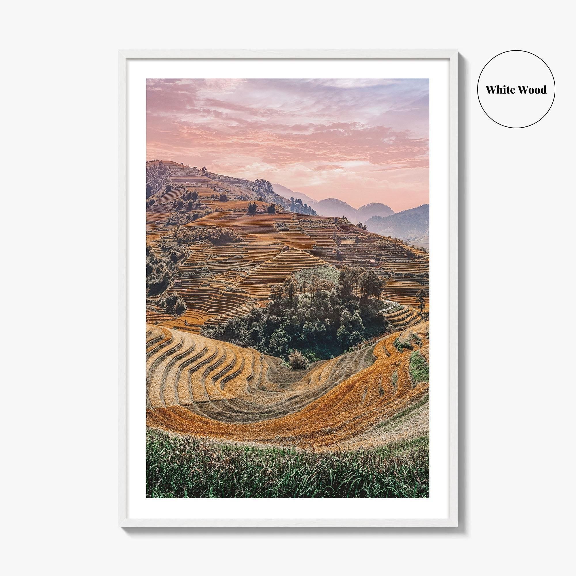 Mu Cang Chai Fine Art Photo Print, Yen Bai Vietnam Rice Terraces Wall Poster