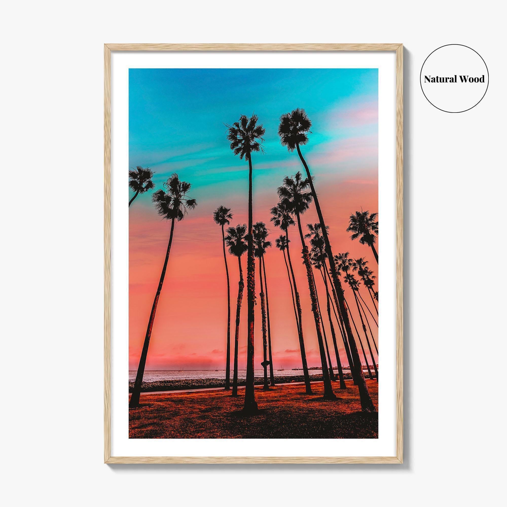 Santa Barbara Fine Art Photo Print, California Wall Decor Poster, USA Palm Trees